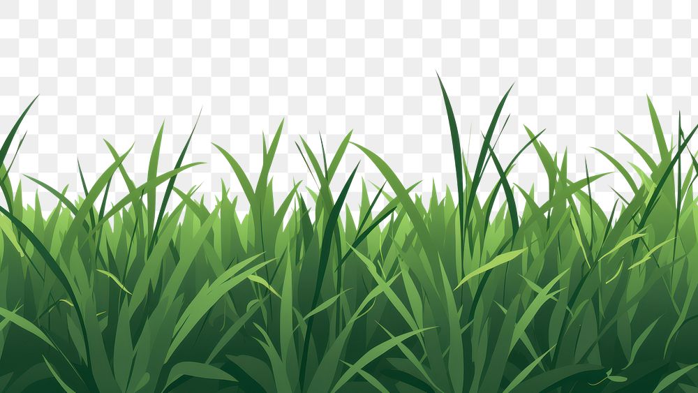 PNG Grass backgrounds outdoors nature. AI generated Image by rawpixel.
