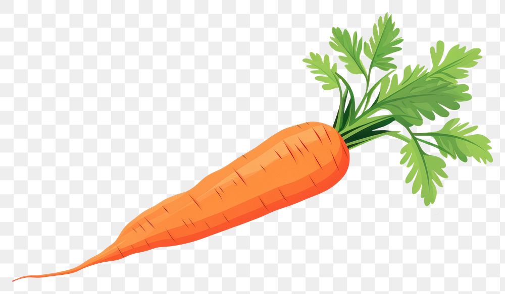 PNG Carrot food vegetable plant. AI generated Image by rawpixel.