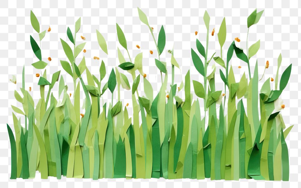 PNG Grass grass plant paper. AI generated Image by rawpixel.