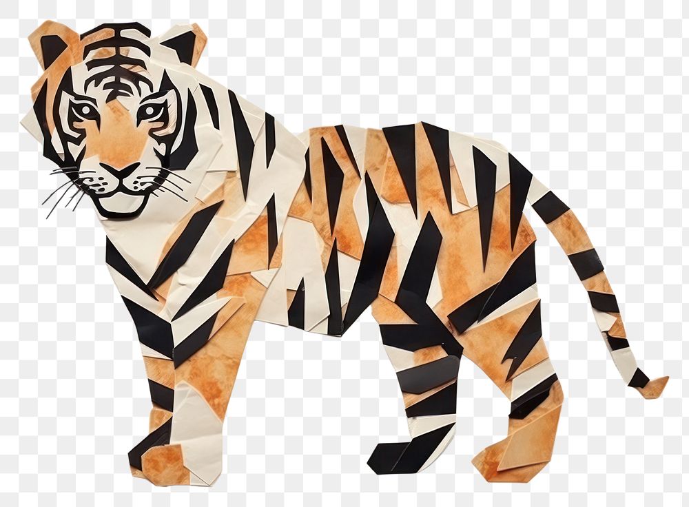 PNG Tiger tiger wildlife animal. AI generated Image by rawpixel.