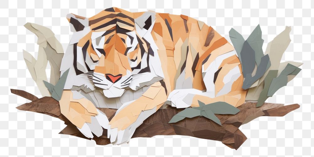 PNG Tiger wildlife animal paper. 