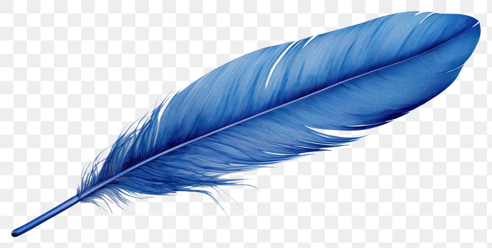 PNG Blue feather white background lightweight accessories. 