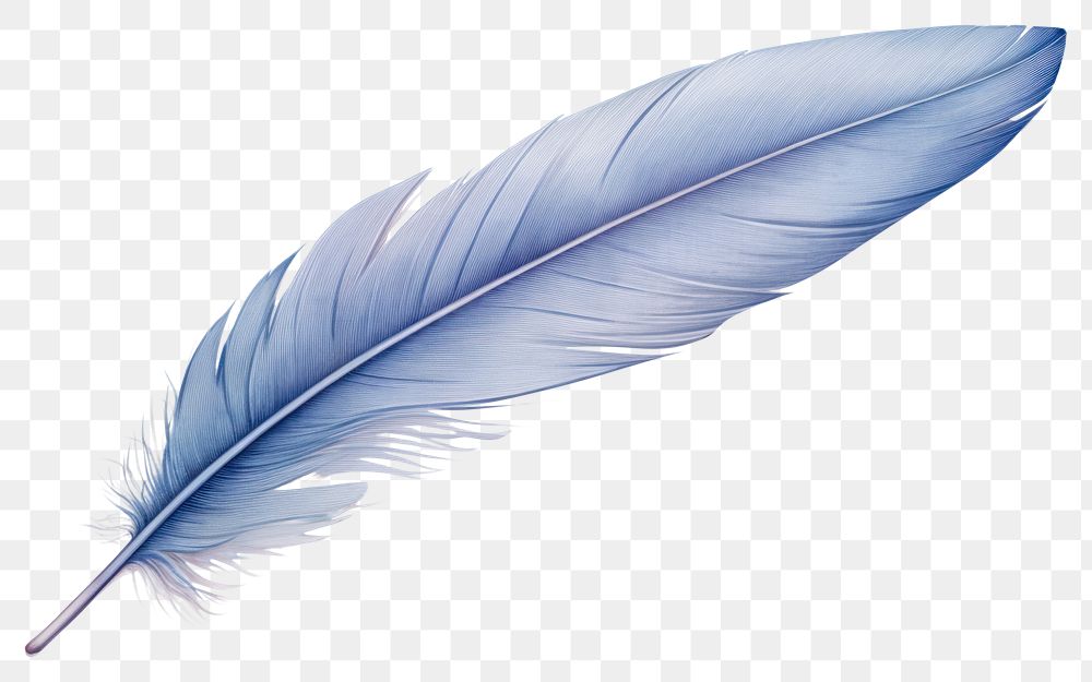 PNG Blue feather white background lightweight accessories. AI generated Image by rawpixel.