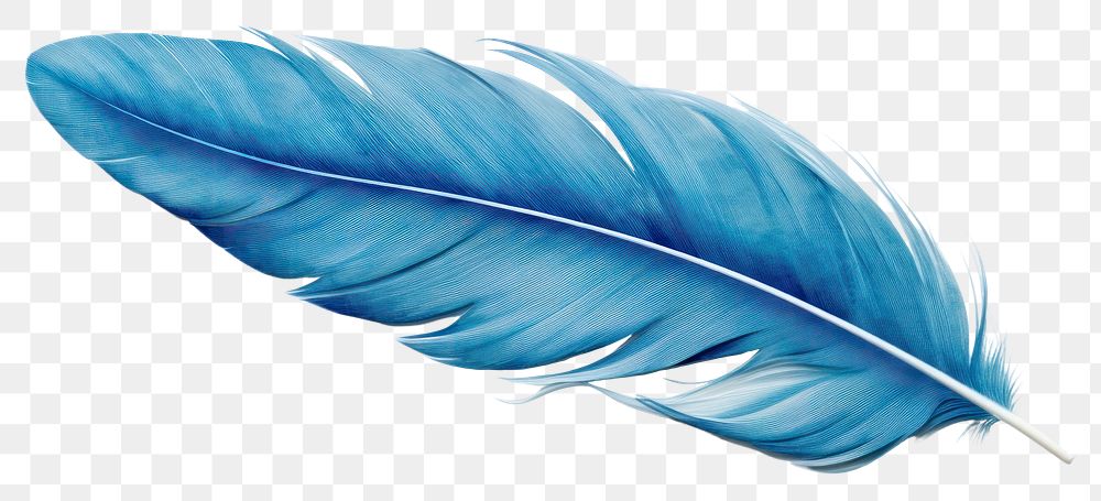 PNG Blue feather leaf white background lightweight. AI generated Image by rawpixel.