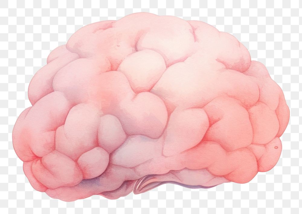 PNG Brain petal medical science. AI generated Image by rawpixel.