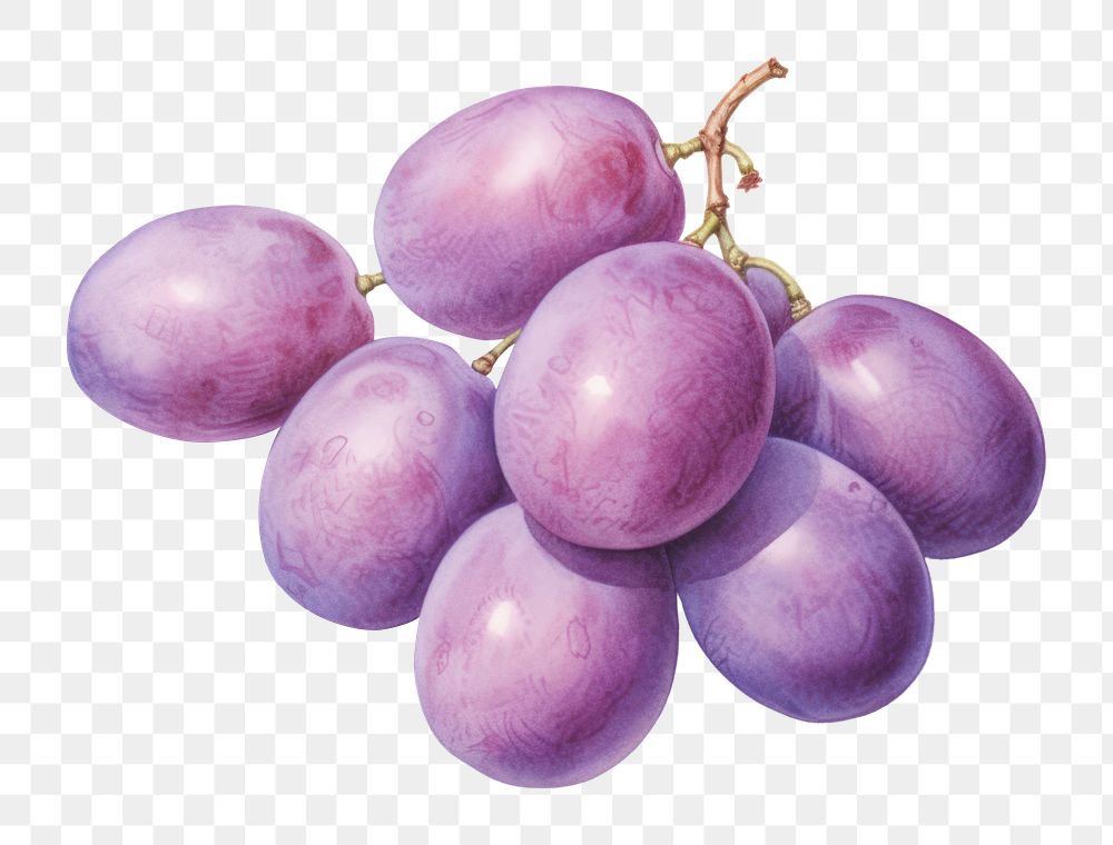 PNG Grapes purple fruit plant. AI generated Image by rawpixel.