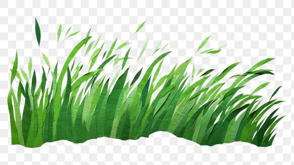 PNG Green grass plant leaf white background. AI generated Image by rawpixel.