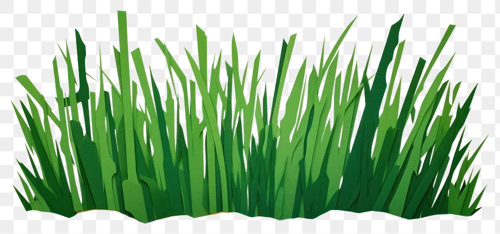 PNG Green grass plant lawn  