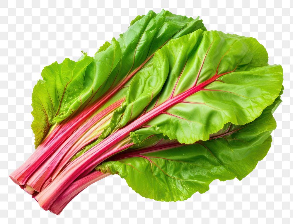 PNG Vegetable rhubarb plant food. AI generated Image by rawpixel.