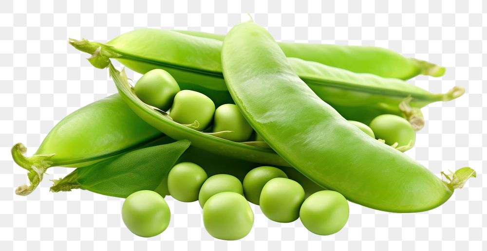 PNG A green pea vegetable plant food. AI generated Image by rawpixel.