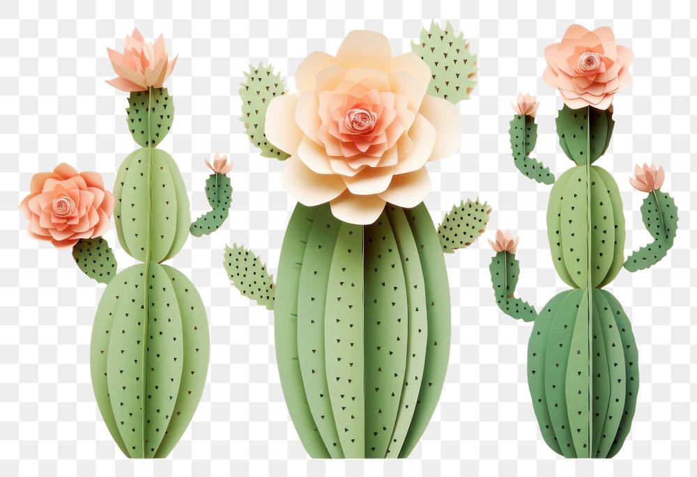 PNG  Cactus flower plant representation. AI generated Image by rawpixel.