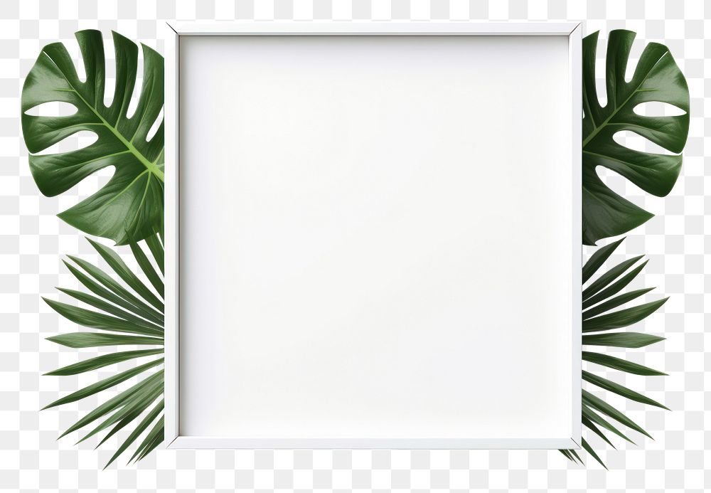 PNG Simple minimal frame plant leaf rectangle. AI generated Image by rawpixel.