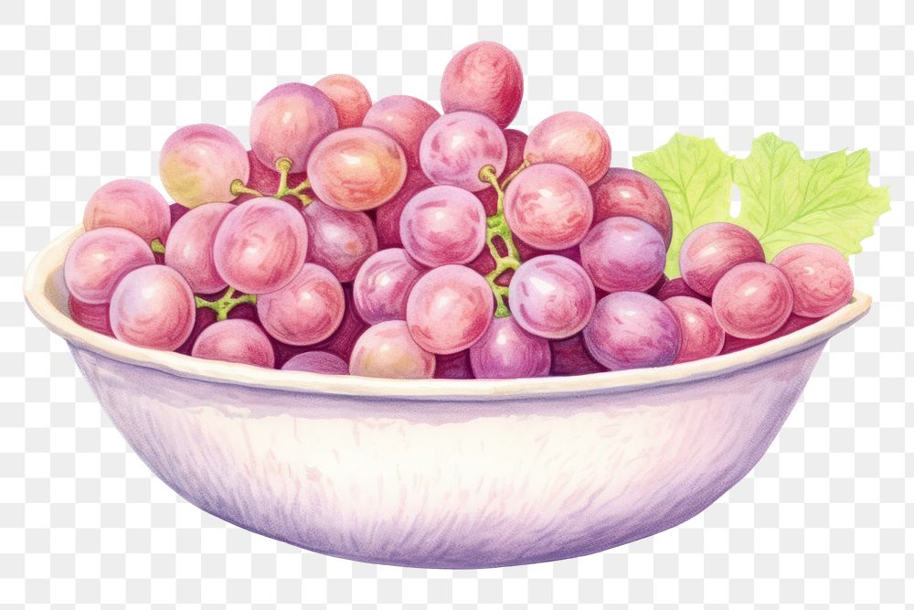 PNG Bowl grapes drawing plant fruit. AI generated Image by rawpixel.