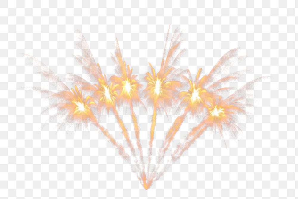 PNG Firework fireworks black background illuminated. 