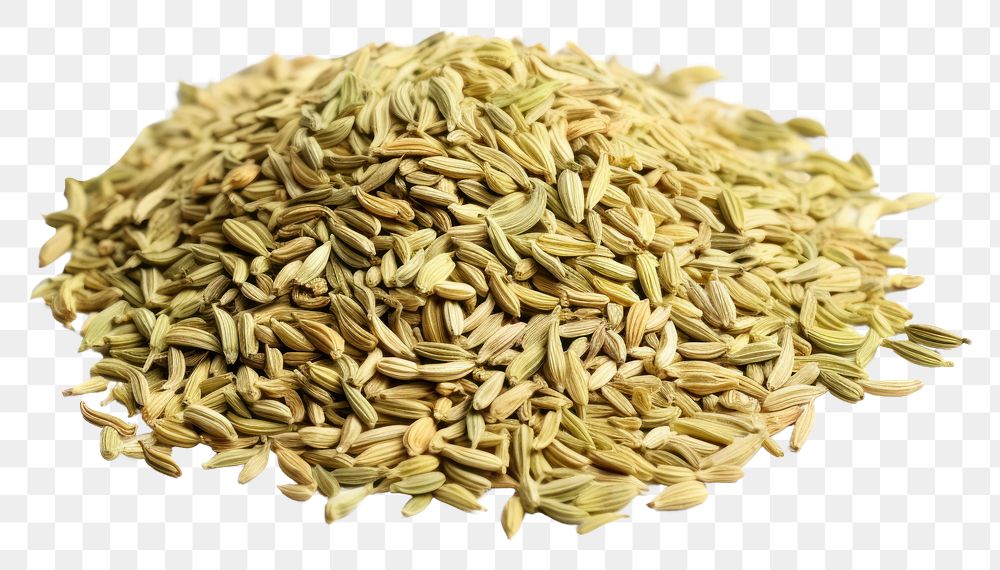 PNG Fennel seeds food white background ingredient. AI generated Image by rawpixel.