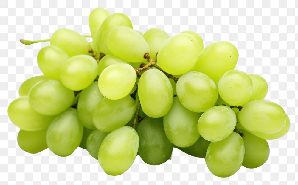 PNG Grapes fruit plant green. 