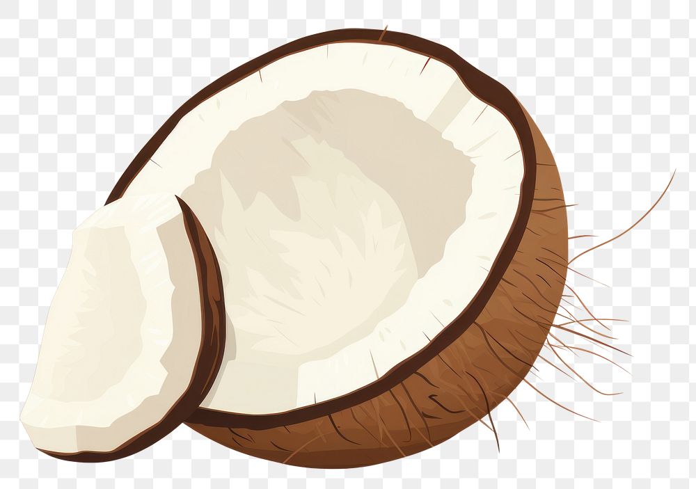 PNG Coconut produce circle animal. AI generated Image by rawpixel.