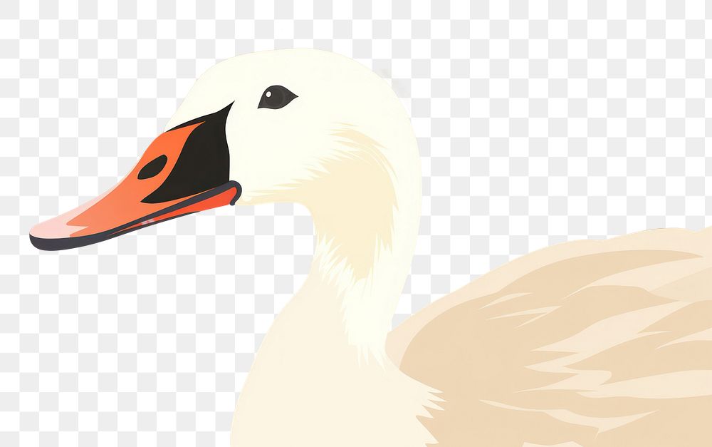 PNG Goose animal nature bird. 