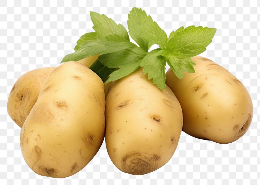 PNG Potatoes vegetable plant food. AI generated Image by rawpixel.