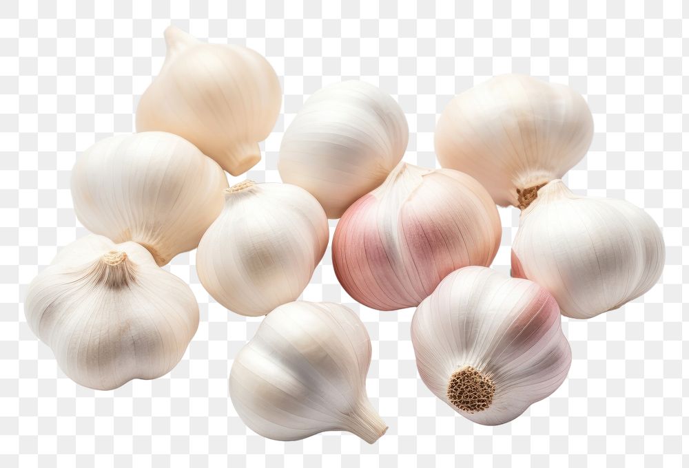 PNG Garlic vegetable white food. AI generated Image by rawpixel.