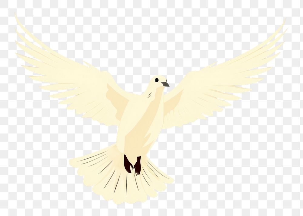 PNG Dove wildlife animal bird. AI generated Image by rawpixel.