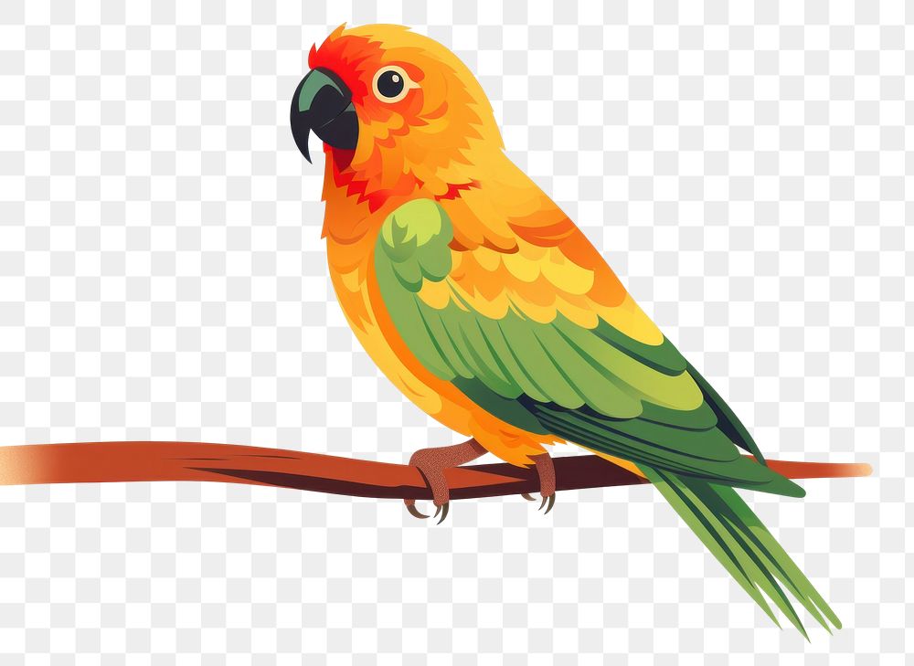 PNG Sun conure parrot wildlife animal bird. AI generated Image by rawpixel.