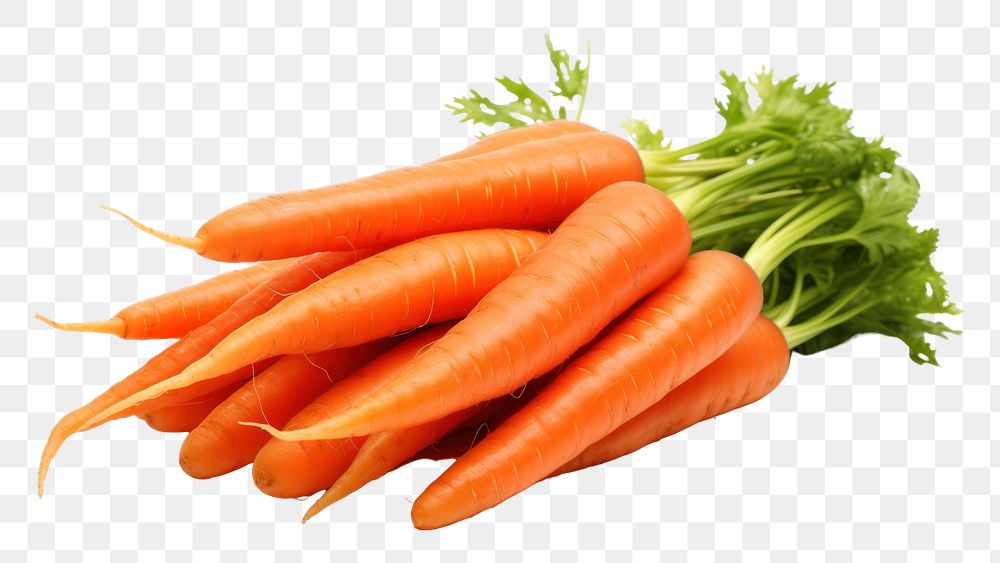 PNG Carrot vegetable bunch plant. AI generated Image by rawpixel.