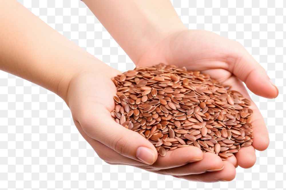 PNG  Flax seeds food hand white background. AI generated Image by rawpixel.