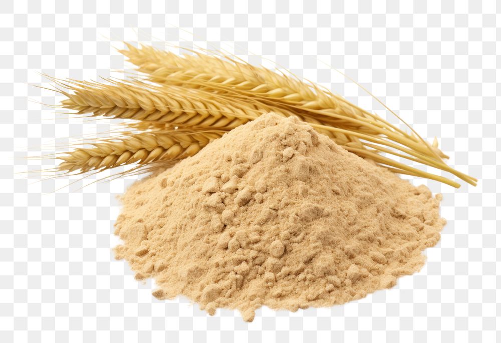 PNG Wheat powder food white background. AI generated Image by rawpixel.
