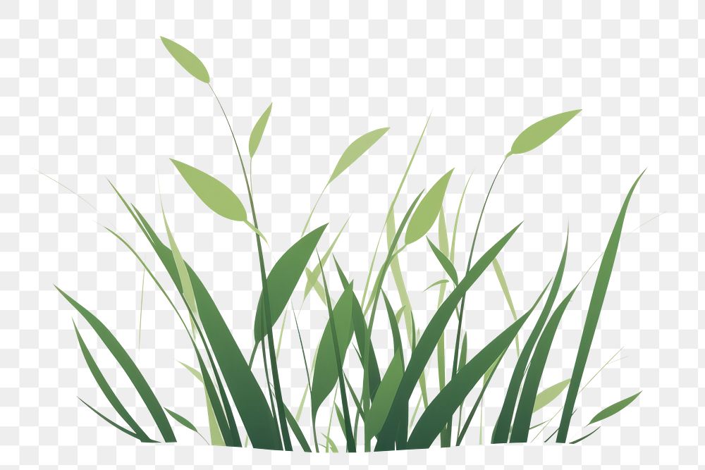 PNG A Grass grass backgrounds plant. AI generated Image by rawpixel.