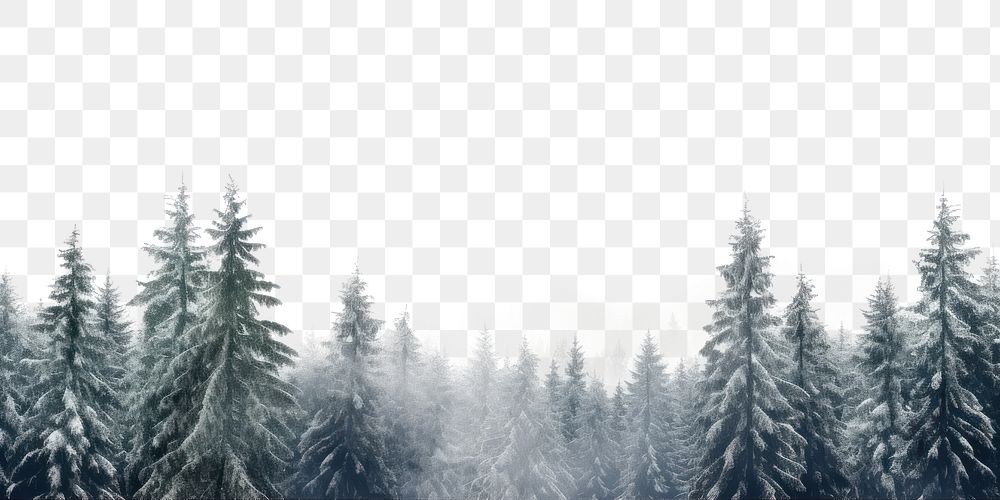 PNG Tree snow outdoors nature. | Premium PNG - rawpixel