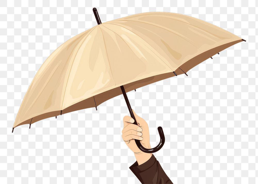 PNG Hand holding umbrella adult sheltering protection. 