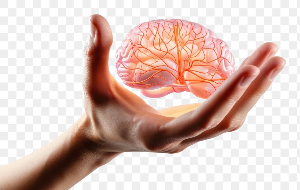 PNG Hand finger adult brain. AI generated Image by rawpixel.