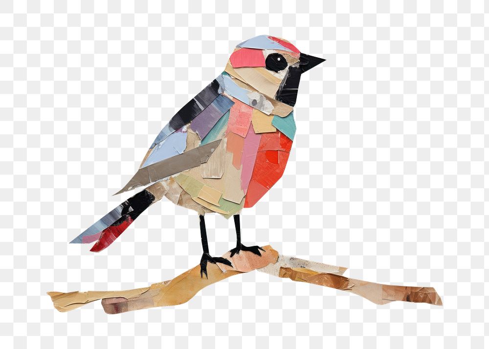 PNG Bird painting animal art. AI generated Image by rawpixel.