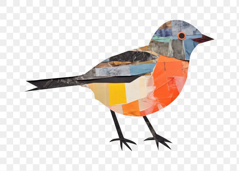 PNG Bird painting animal art. AI generated Image by rawpixel.