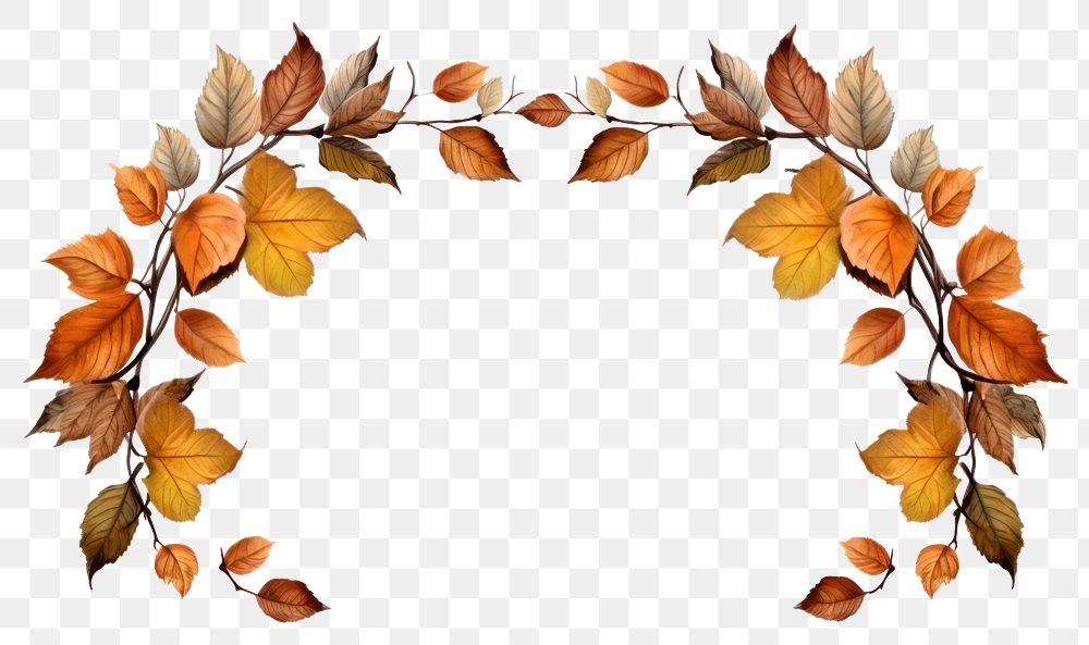 PNG Fall leaves frame pattern | Premium PNG - rawpixel