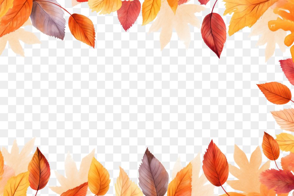 PNG Fall leaves frame backgrounds pattern plant. 