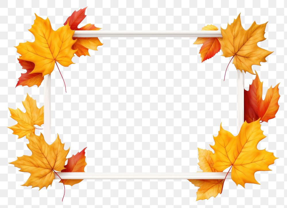 PNG Fall leaves frame backgrounds plant leaf. AI generated Image by rawpixel.
