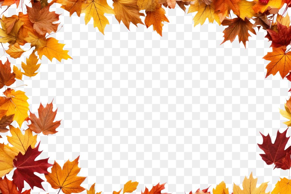 PNG Fall leaves frame backgrounds maple plant. AI generated Image by rawpixel.