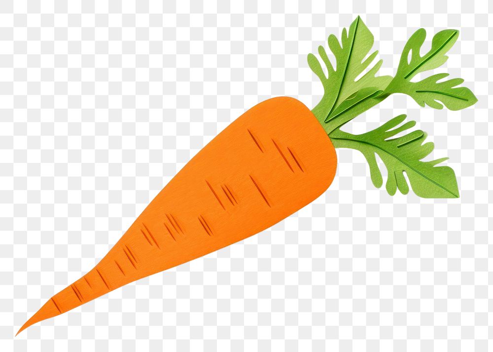 PNG Carrot vegetable plant food. AI generated Image by rawpixel.