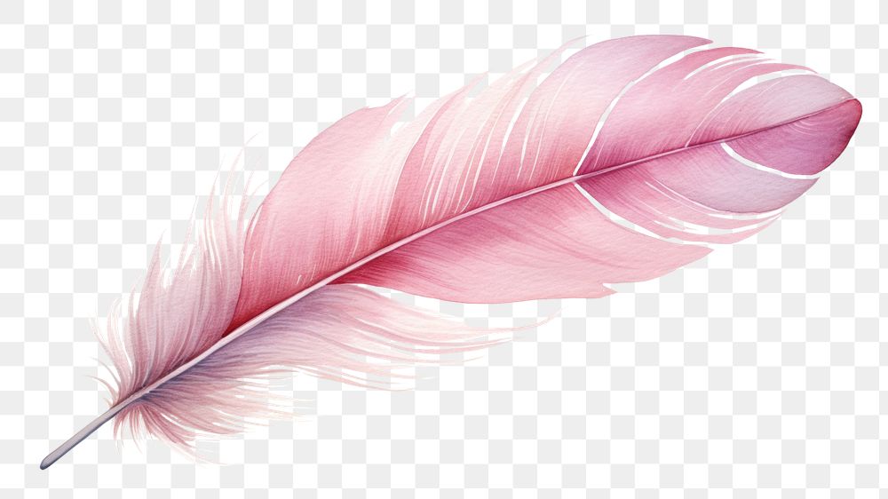 PNG Feather pink white background lightweight. AI generated Image by rawpixel.