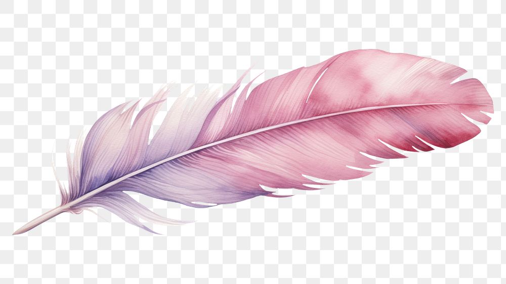 PNG Feather pink white background lightweight. AI generated Image by rawpixel.