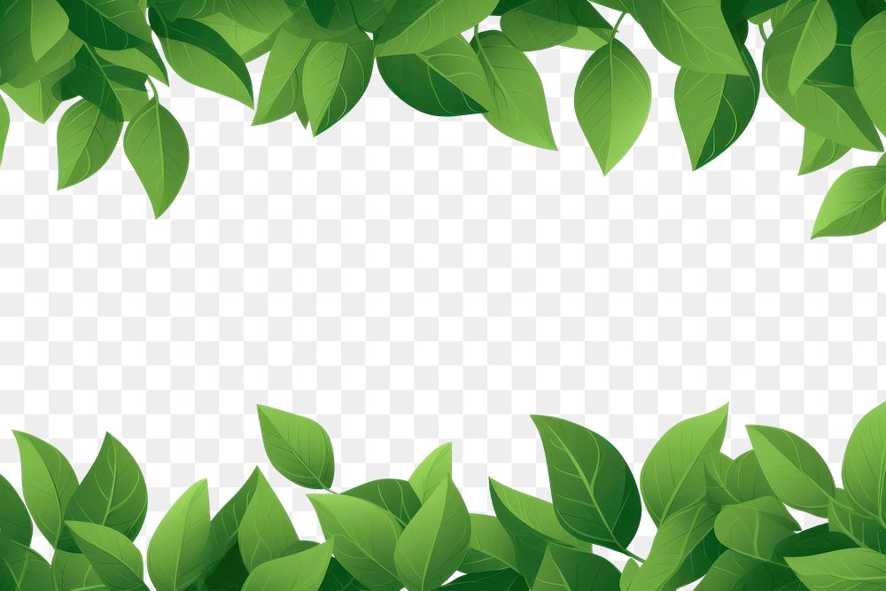 PNG Green backgrounds plant leaf. AI generated Image by rawpixel.