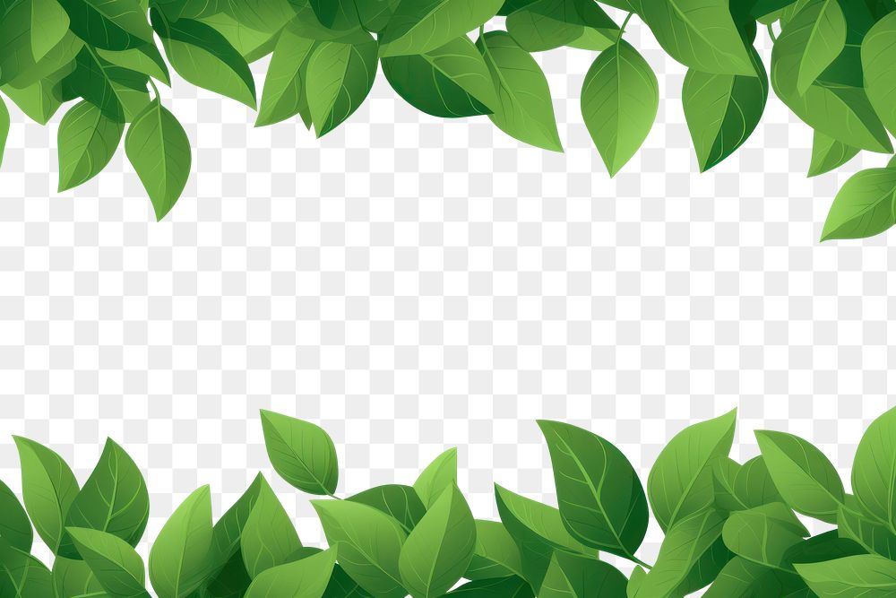 PNG Green backgrounds plant leaf. 