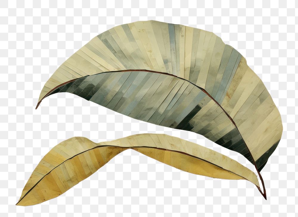 PNG Banana leaf painting plant art. 