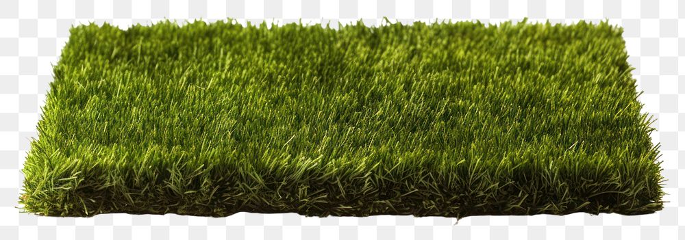 PNG Green grass field lawn plant green