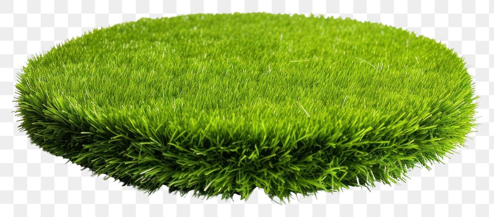 PNG Green grass field lawn plant green