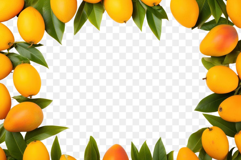 PNG Apricot fruit plant food. AI generated Image by rawpixel.