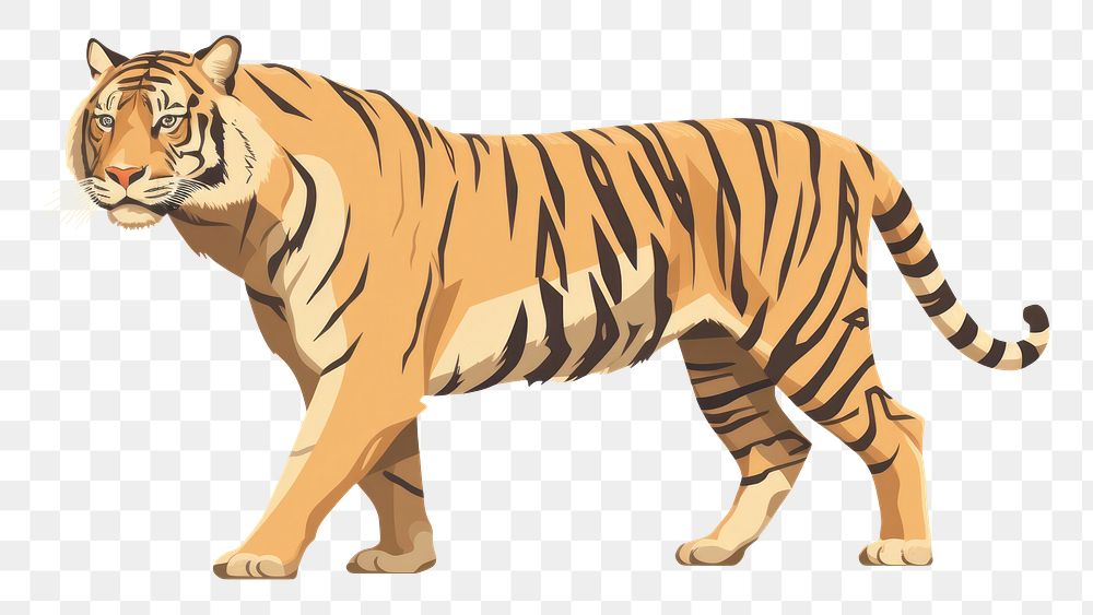PNG Tiger wildlife tiger animal. AI generated Image by rawpixel.