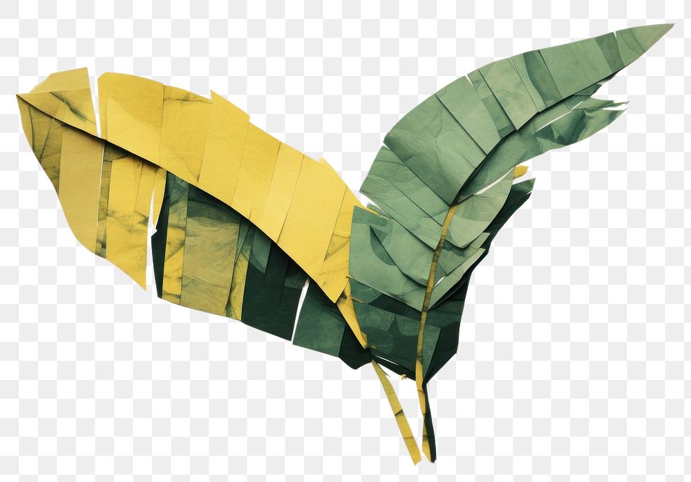 PNG Banana leaf art plant transportation. 